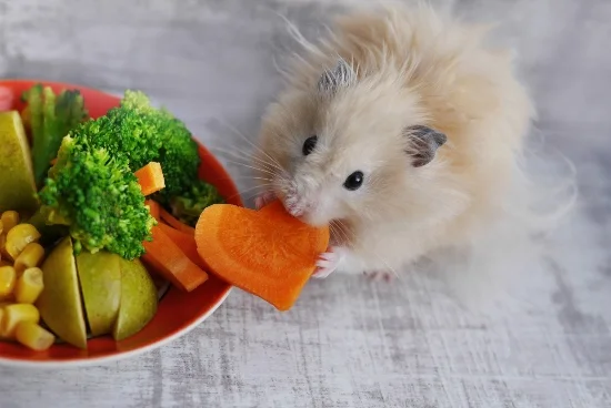 Qué verduras pueden comer los hámsters y cuáles son peligrosas